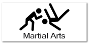 martial arts merchandise