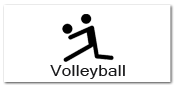 volleyball merchandise