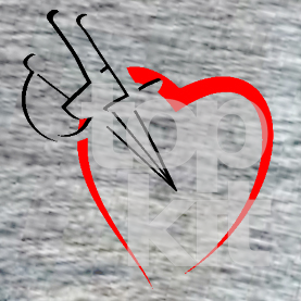 heart with fencing weapons foil epee sabre